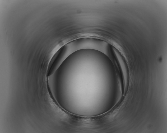 X0000089951330200707061113