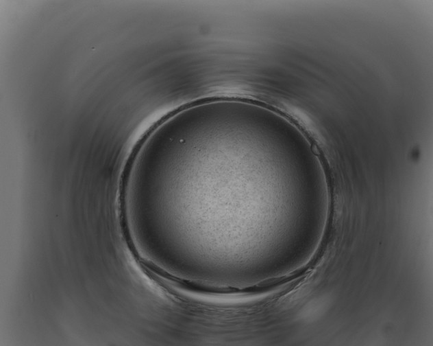 X0000089951331200707061113