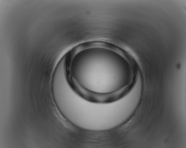 X0000089951332200707061113