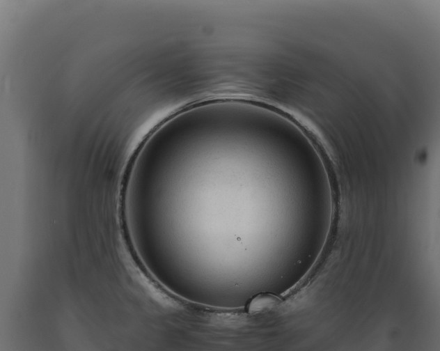 X0000089951333200707061113