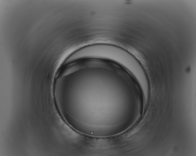X0000089951334200707061113
