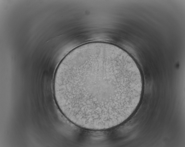 X0000089951338200707061113
