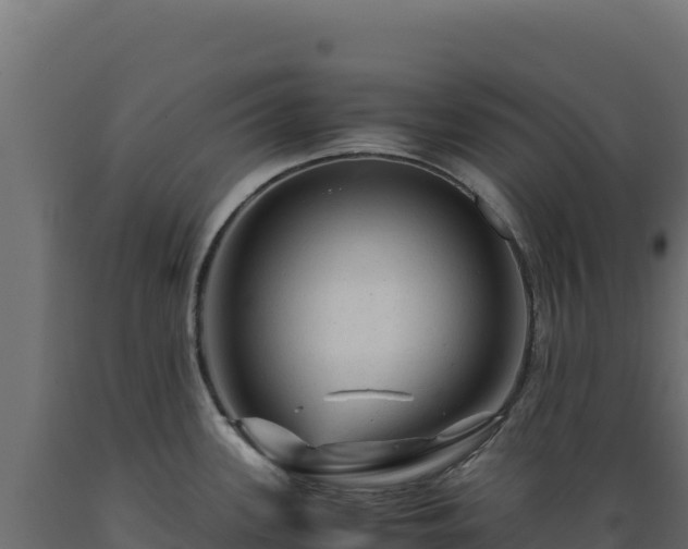 X0000089951339200707061113