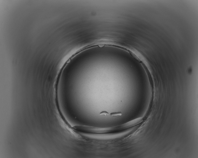 X0000089951341200707061113