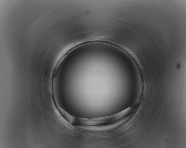 X0000089951342200707061113