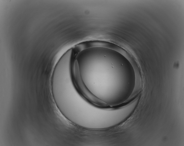 X0000089951344200707061113