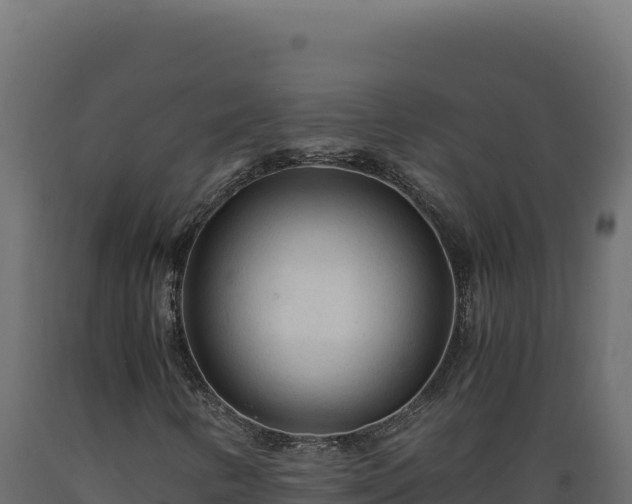 X0000089951346200707061112