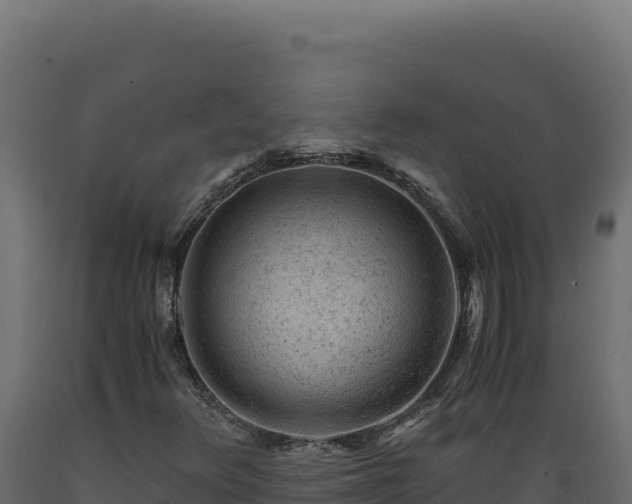 X0000089951348200707061112