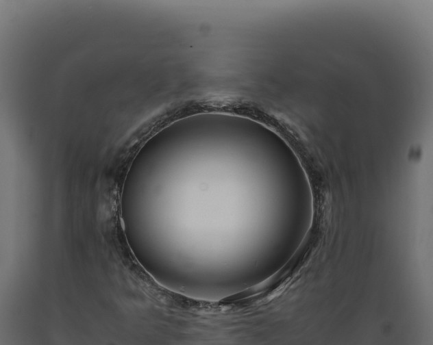 X0000089951349200707061112