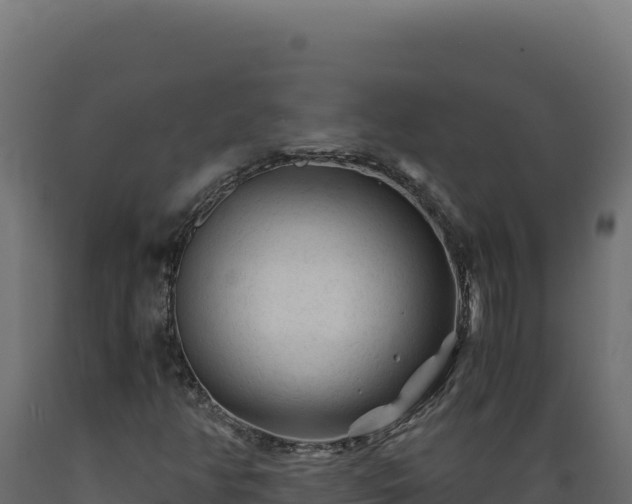 X0000089951350200707061112