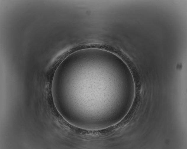 X0000089951351200707061112