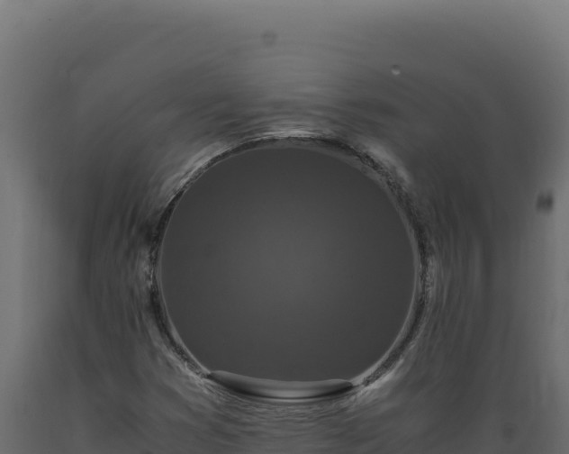 X0000089951353200707061112