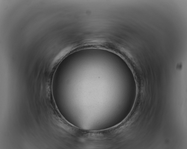 X0000089951354200707061112
