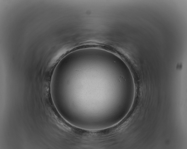 X0000089951355200707061112