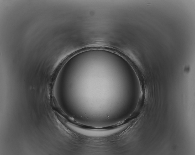 X0000089951356200707061112