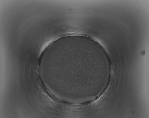 X0000089951357200707061112