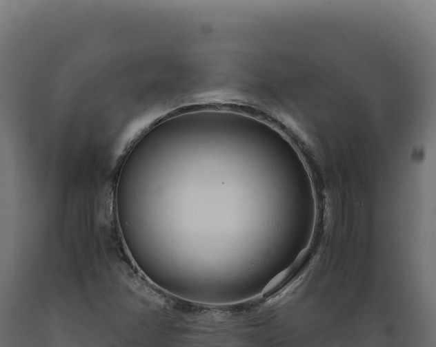 X0000089951358200707061112