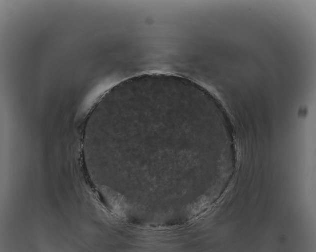 X0000089951359200707061112
