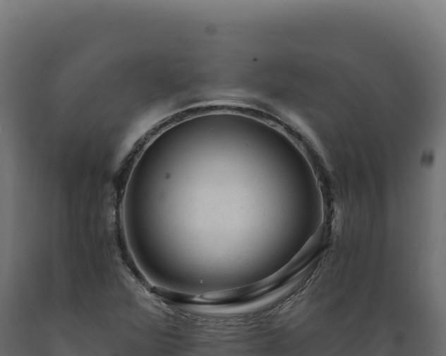 X0000089951360200707061112
