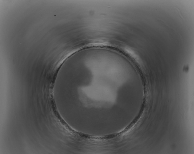 X0000089951361200707061112