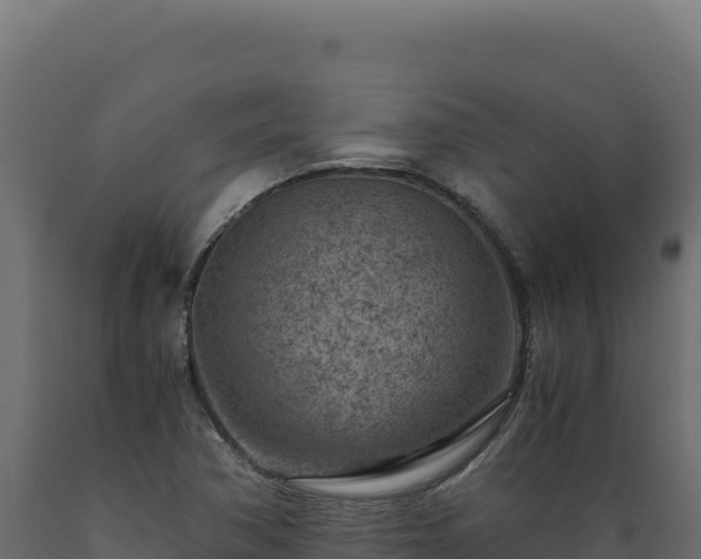 X0000089951362200707061112