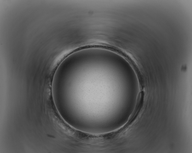 X0000089951363200707061112