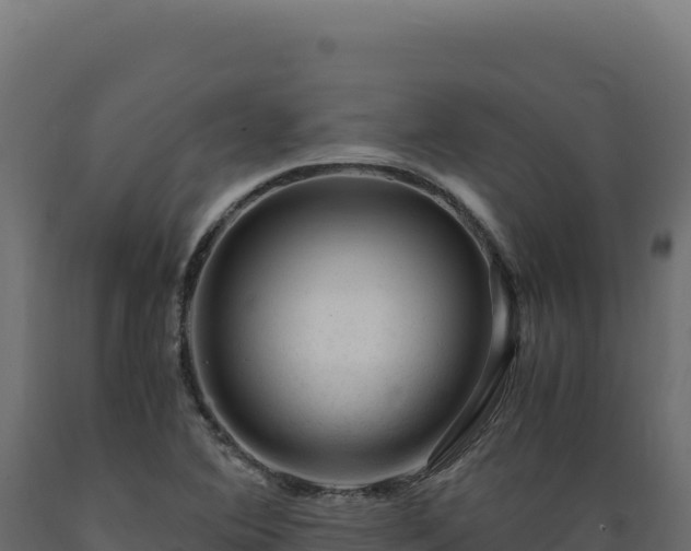 X0000089951364200707061112