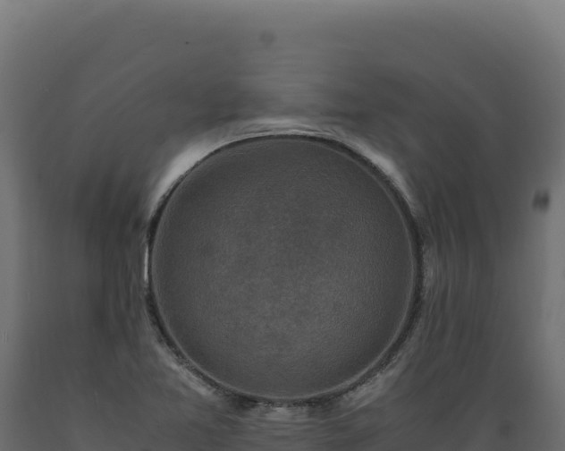 X0000089951365200707061112