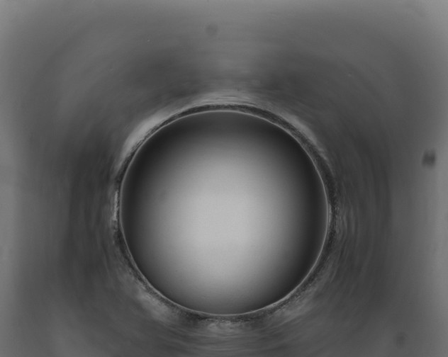 X0000089951366200707061112