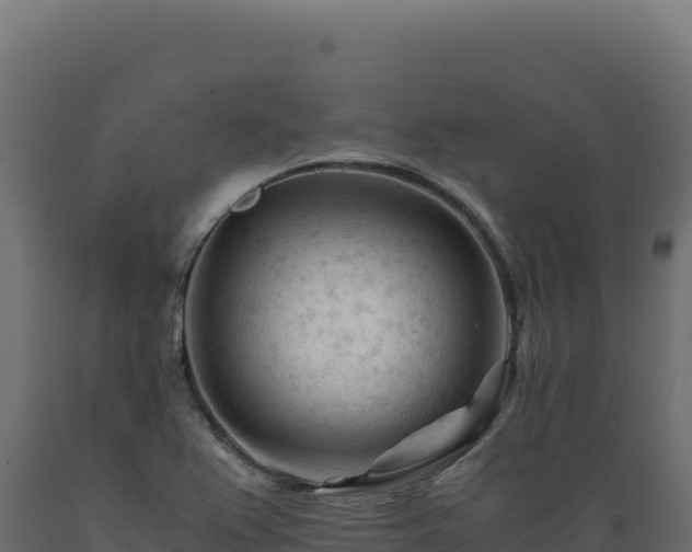 X0000089951367200707061112