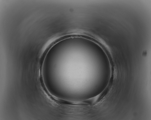 X0000089951368200707061112