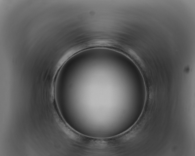 X0000089951370200707061112