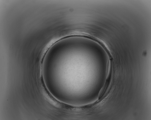 X0000089951371200707061112