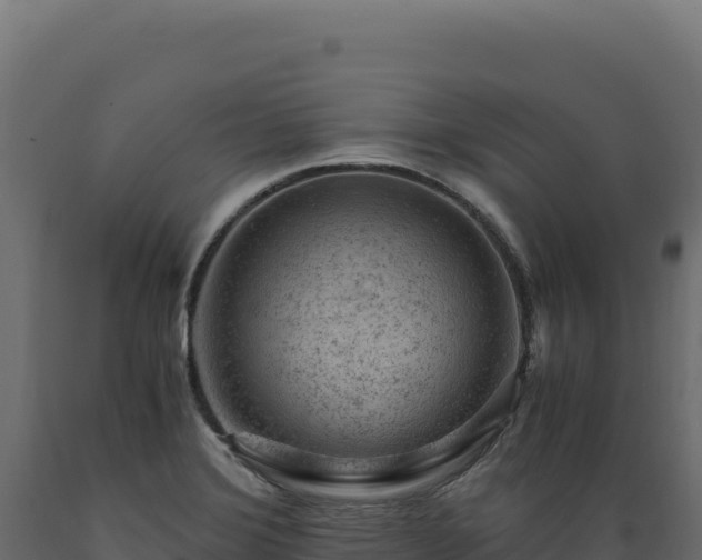 X0000089951372200707061112