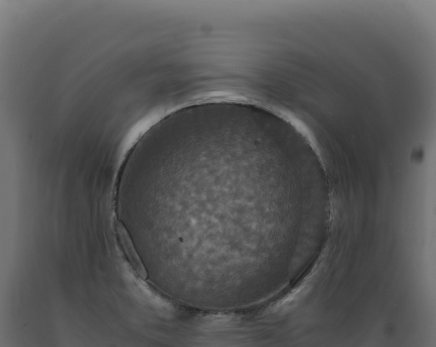 X0000089951373200707061112