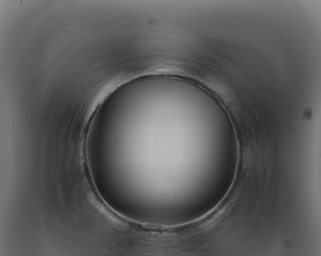 X0000089951374200707061112
