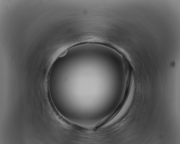 X0000089951375200707061112