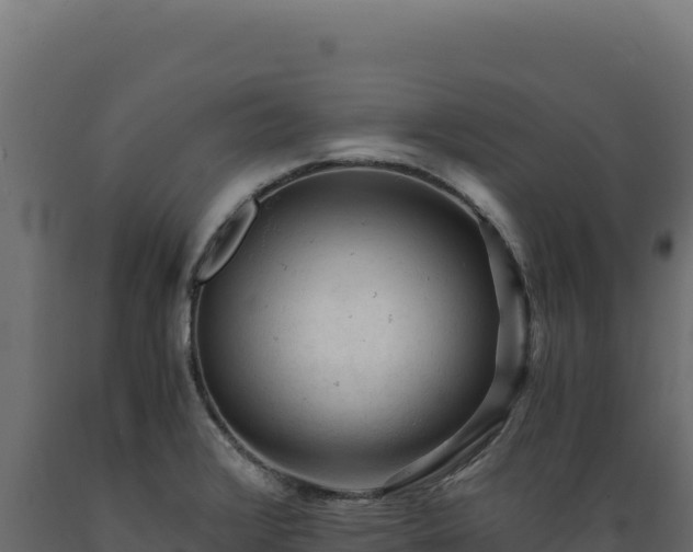 X0000089951376200707061112