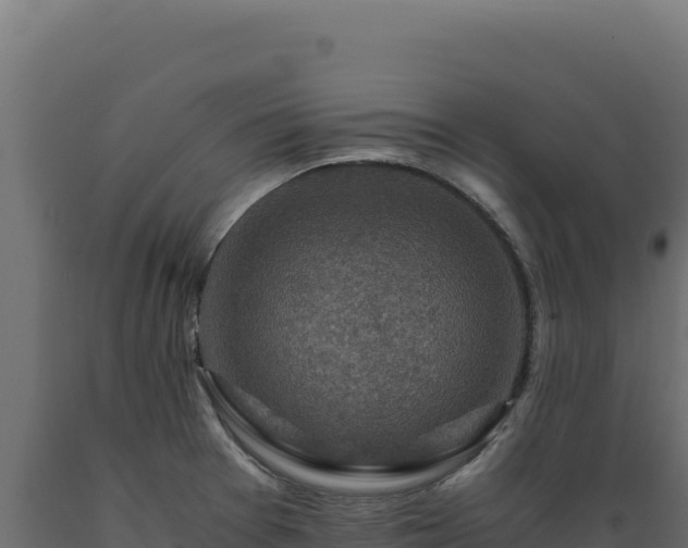 X0000089951377200707061112
