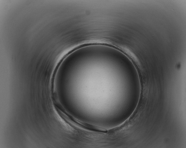 X0000089951380200707061112