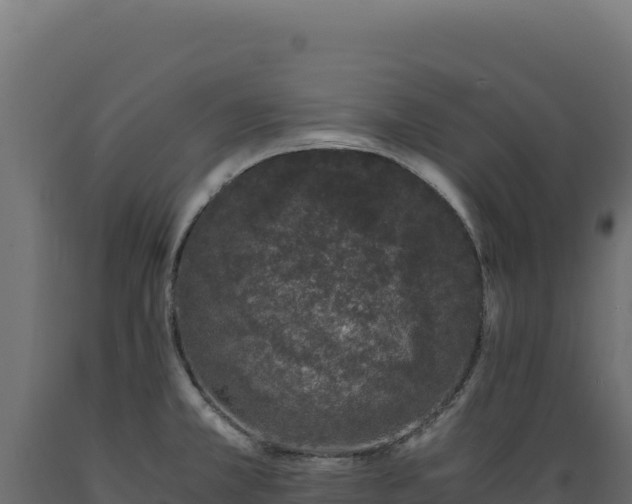 X0000089951381200707061112