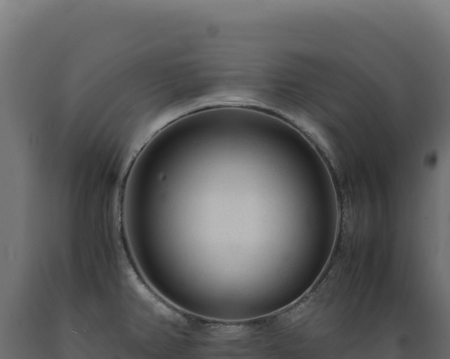 X0000089951382200707061112
