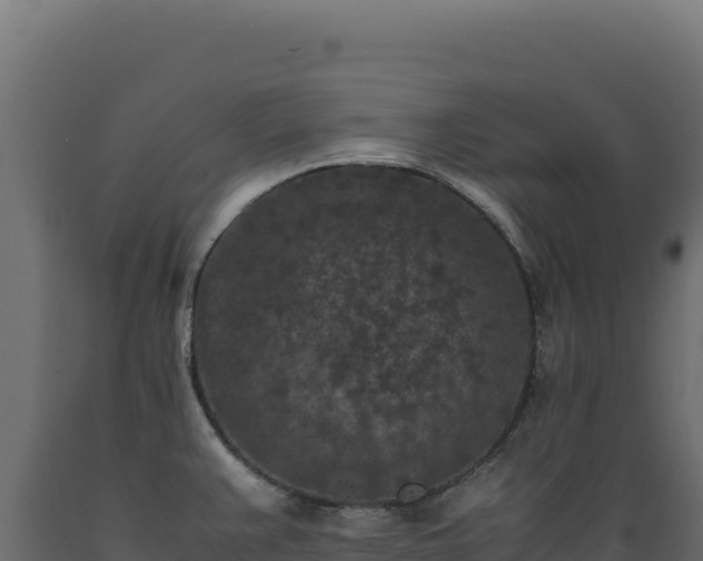 X0000089951383200707061112
