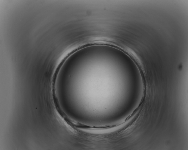 X0000089951384200707061112