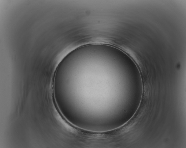 X0000089951387200707061112