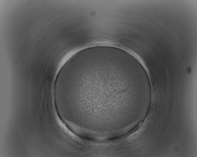 X0000089951389200707061112