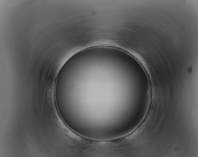 X0000089951390200707061112