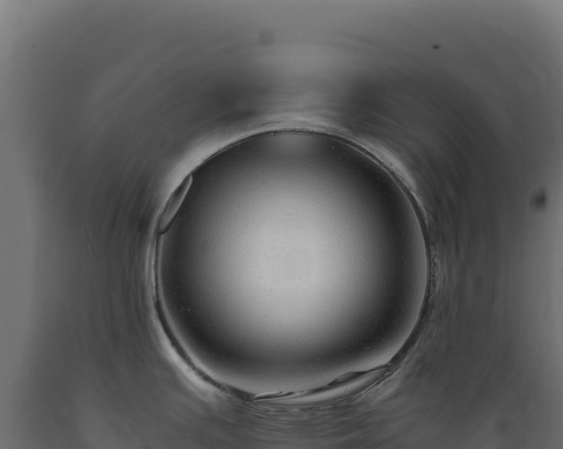 X0000089951391200707061112
