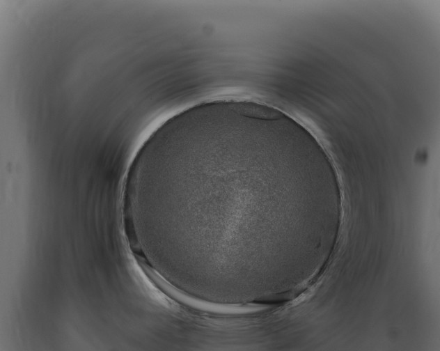 X0000089951392200707061112