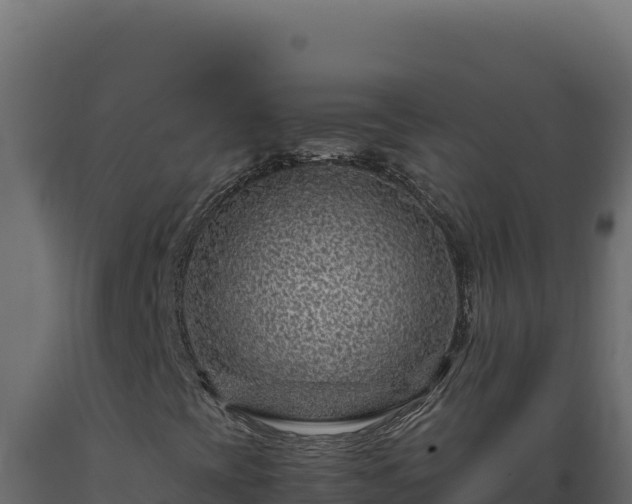 X0000089951393200707061111